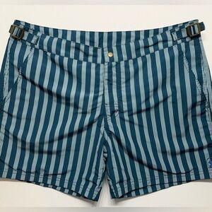 Dandy Del Mar Shorts Mens Size 32 Swim Walk Unlined Sea Green Striped Preppy